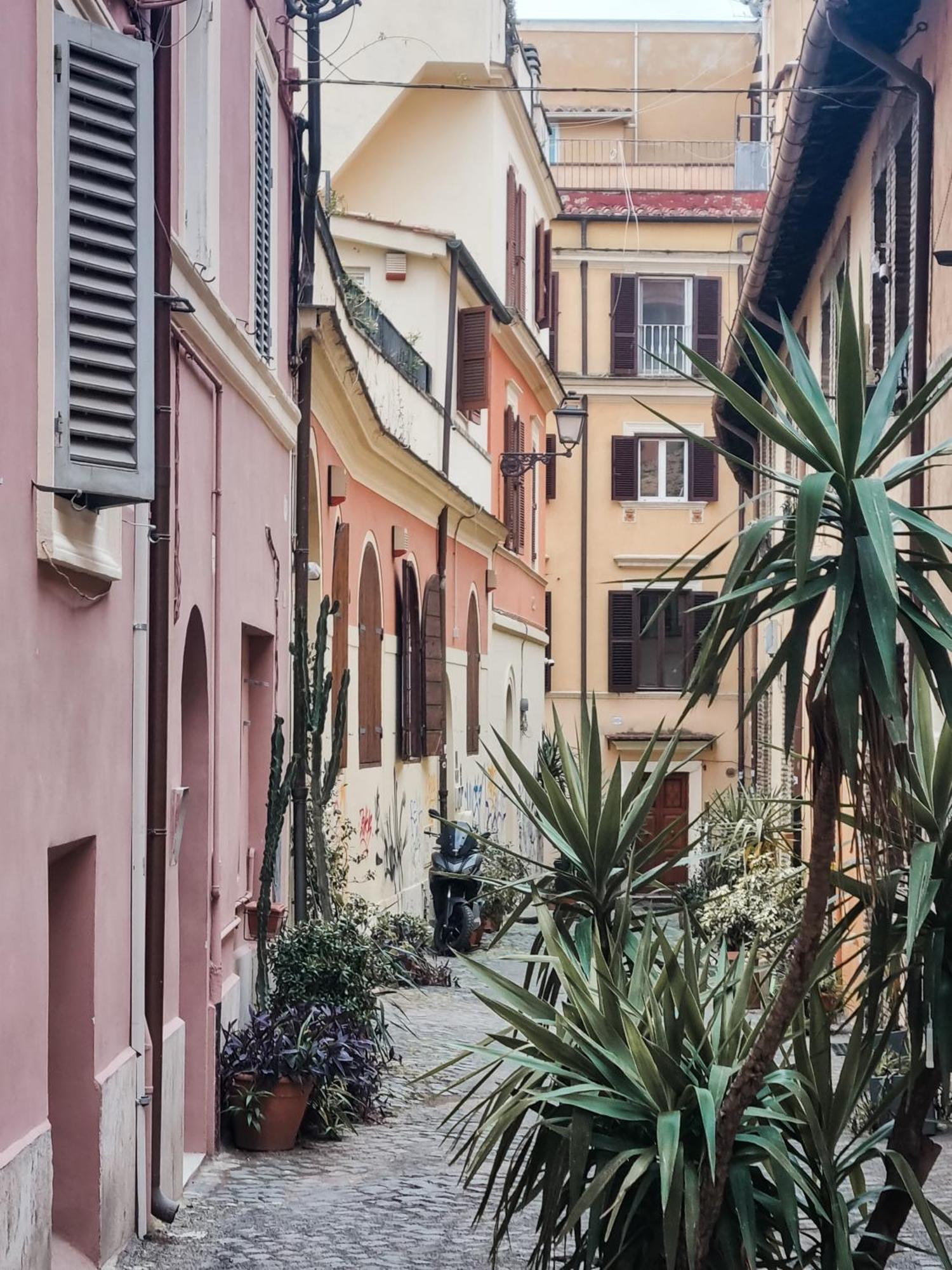 Colosseum Luxury Suite Roma Eksteriør bilde